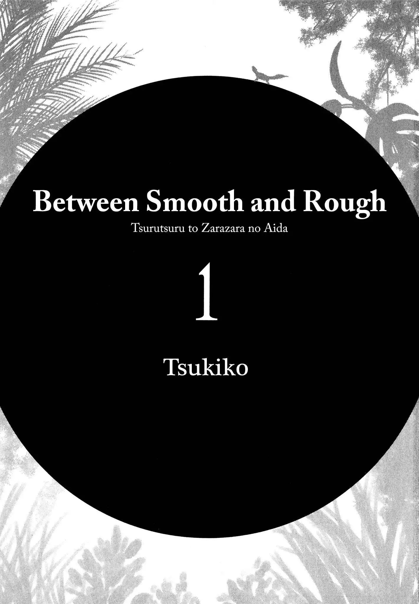 Between Smooth and Rough Chapter 1 2